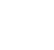 storeicon